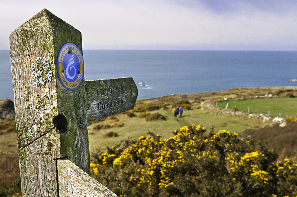 Pembrokeshire Coast Path 